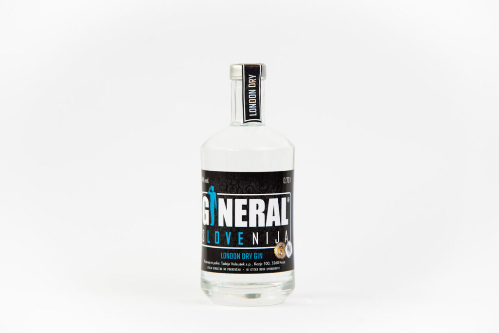 Gineral web 9