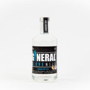 Gineral web 9