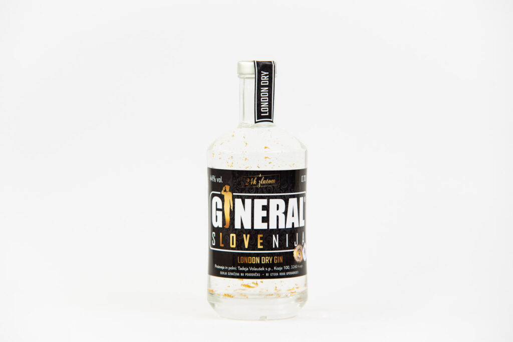 Gineral web 1