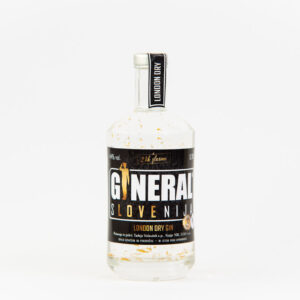 Gineral web 1